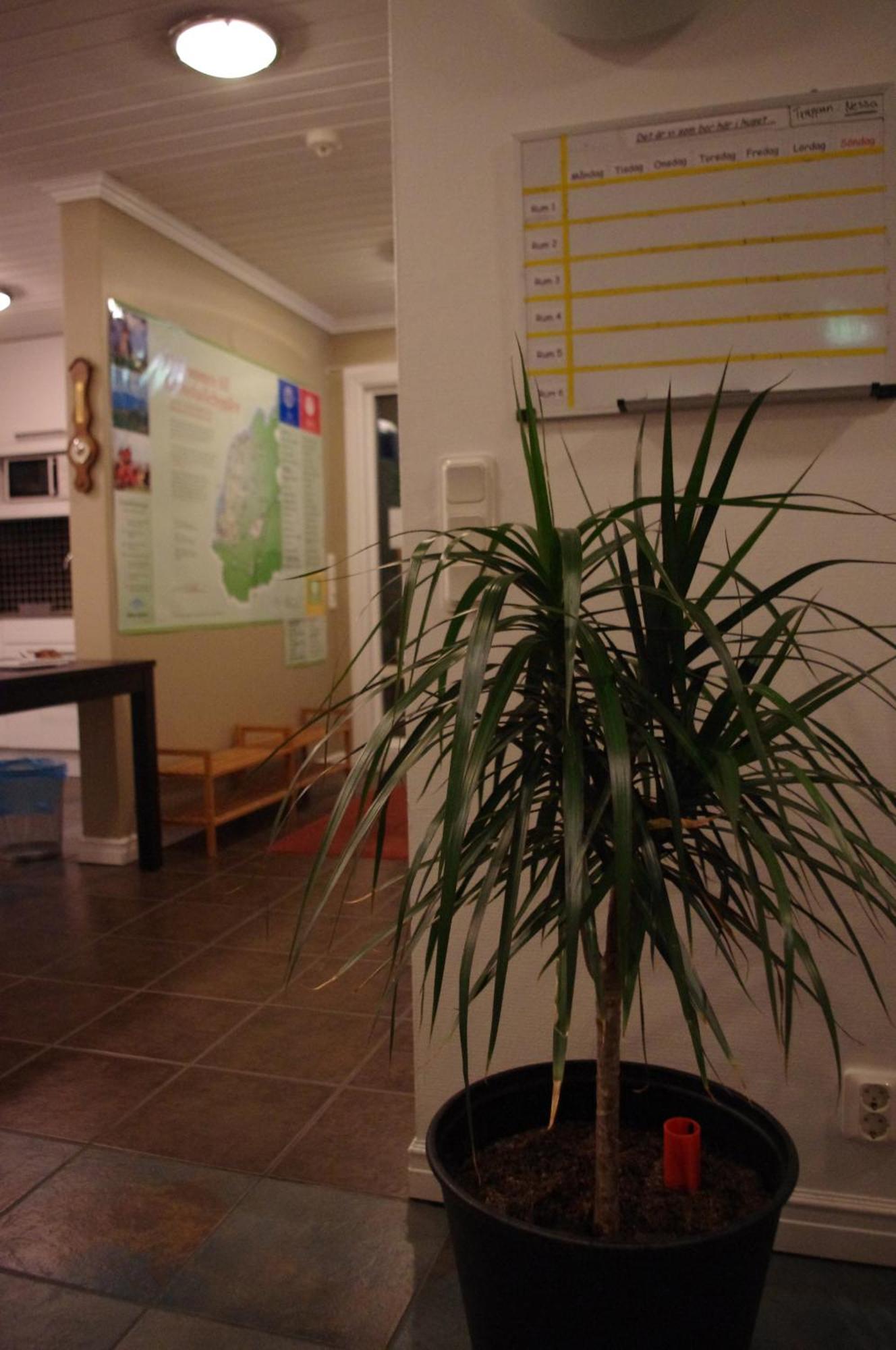 Aeventyrsgardens Vandrarhem, Kinnekulle Källby Exterior foto